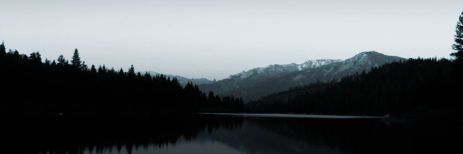 电话炸弹防护业务