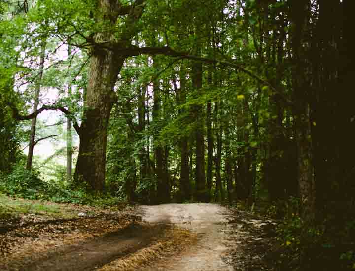 发手机号软件app