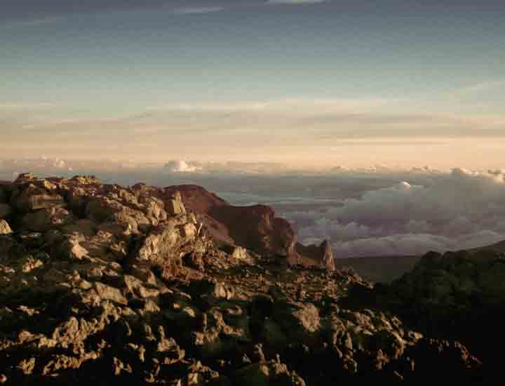 【离线安装】可靠的电话自动追呼系统
